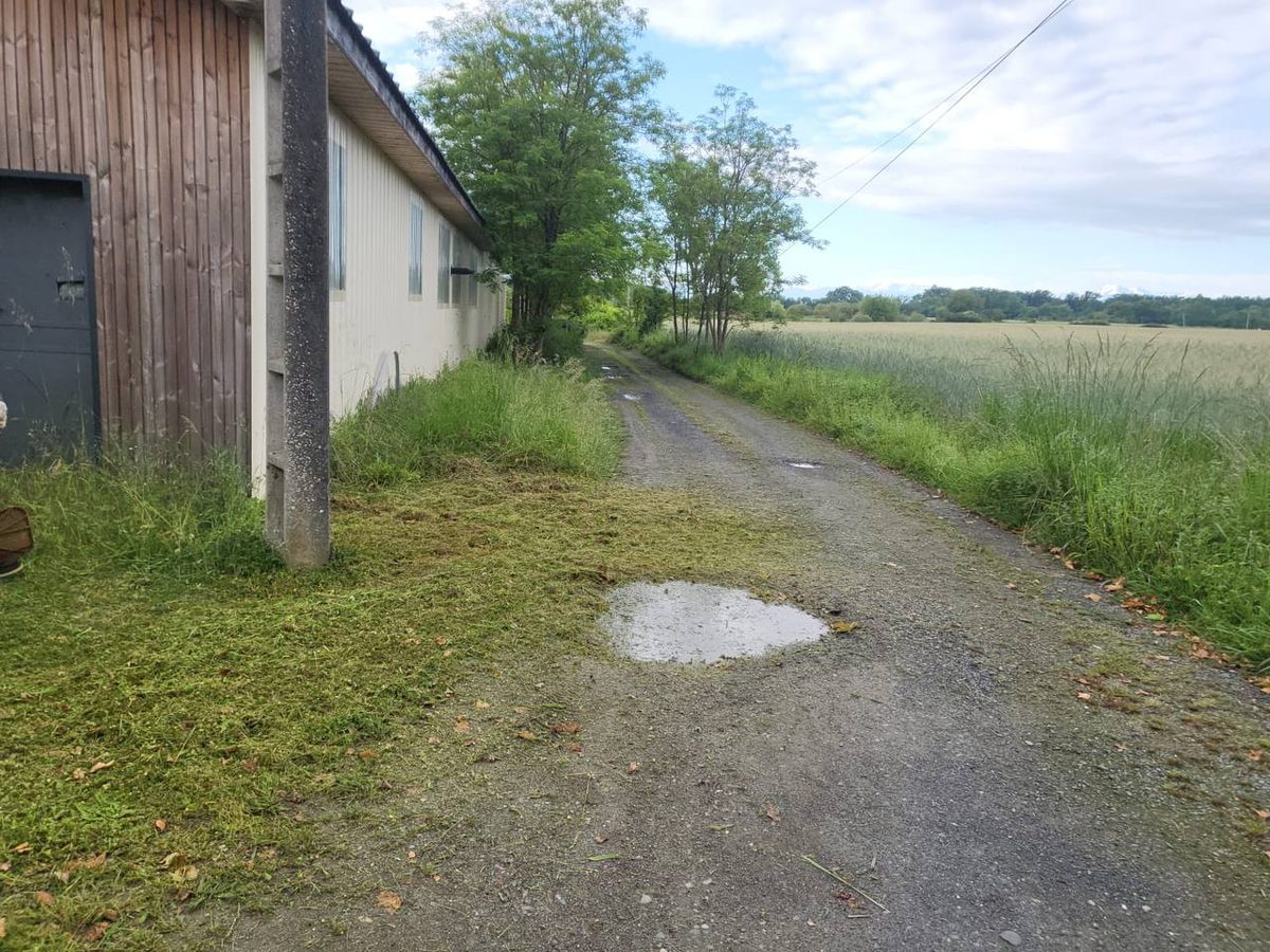 Debroussaillage Akkoforest 12