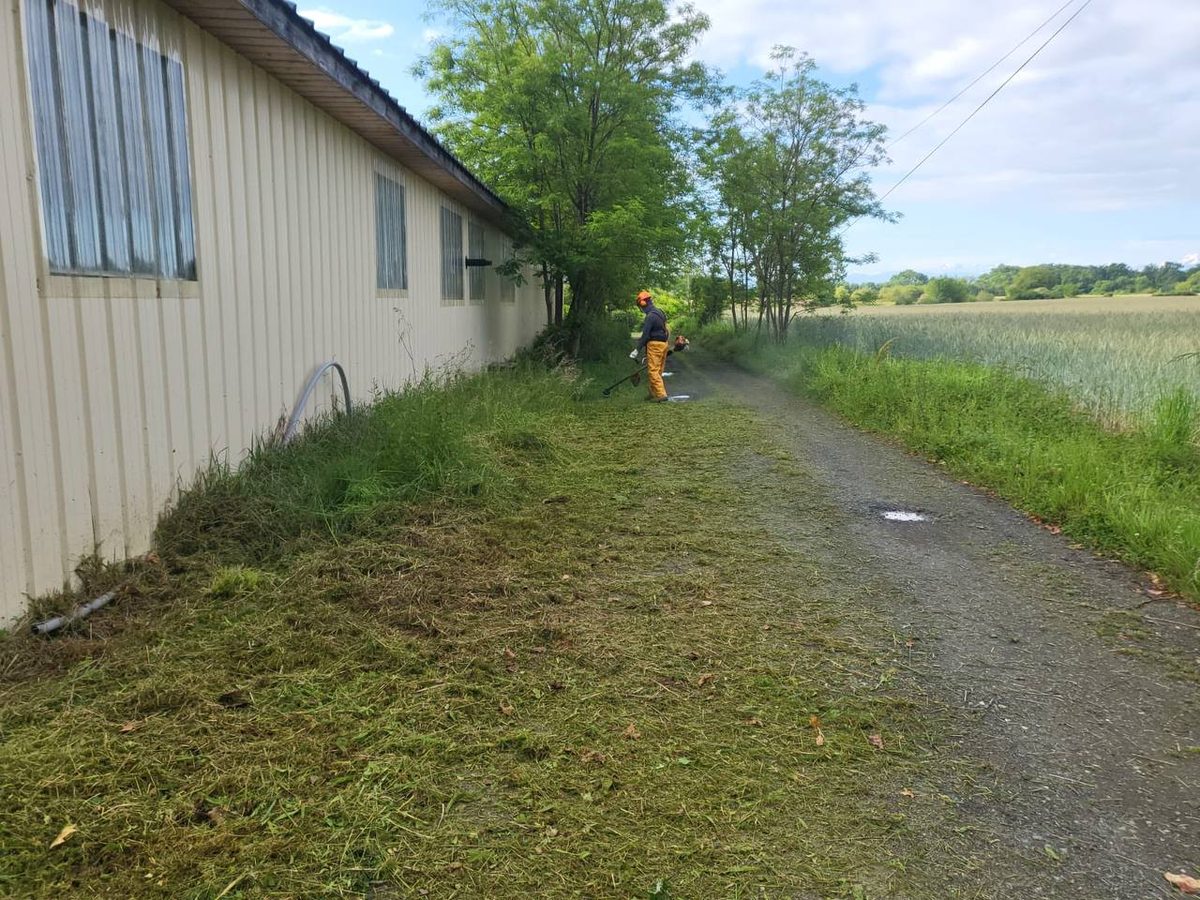 Debroussaillage Akkoforest 7