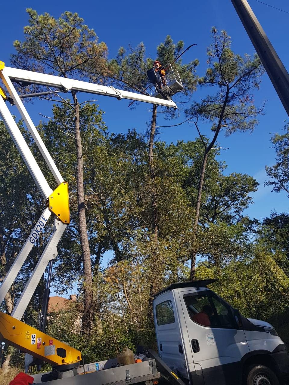 Elagage professionnel